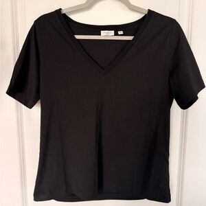 Aritzia Black V-Neck Short Sleeve Tee